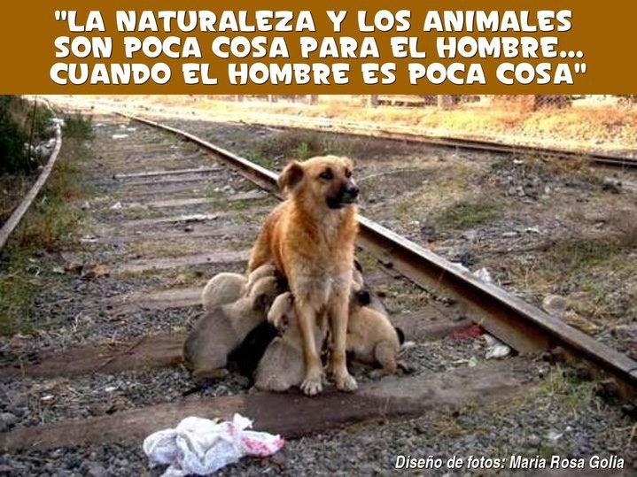 Resultado de imagen de refranes de la vida