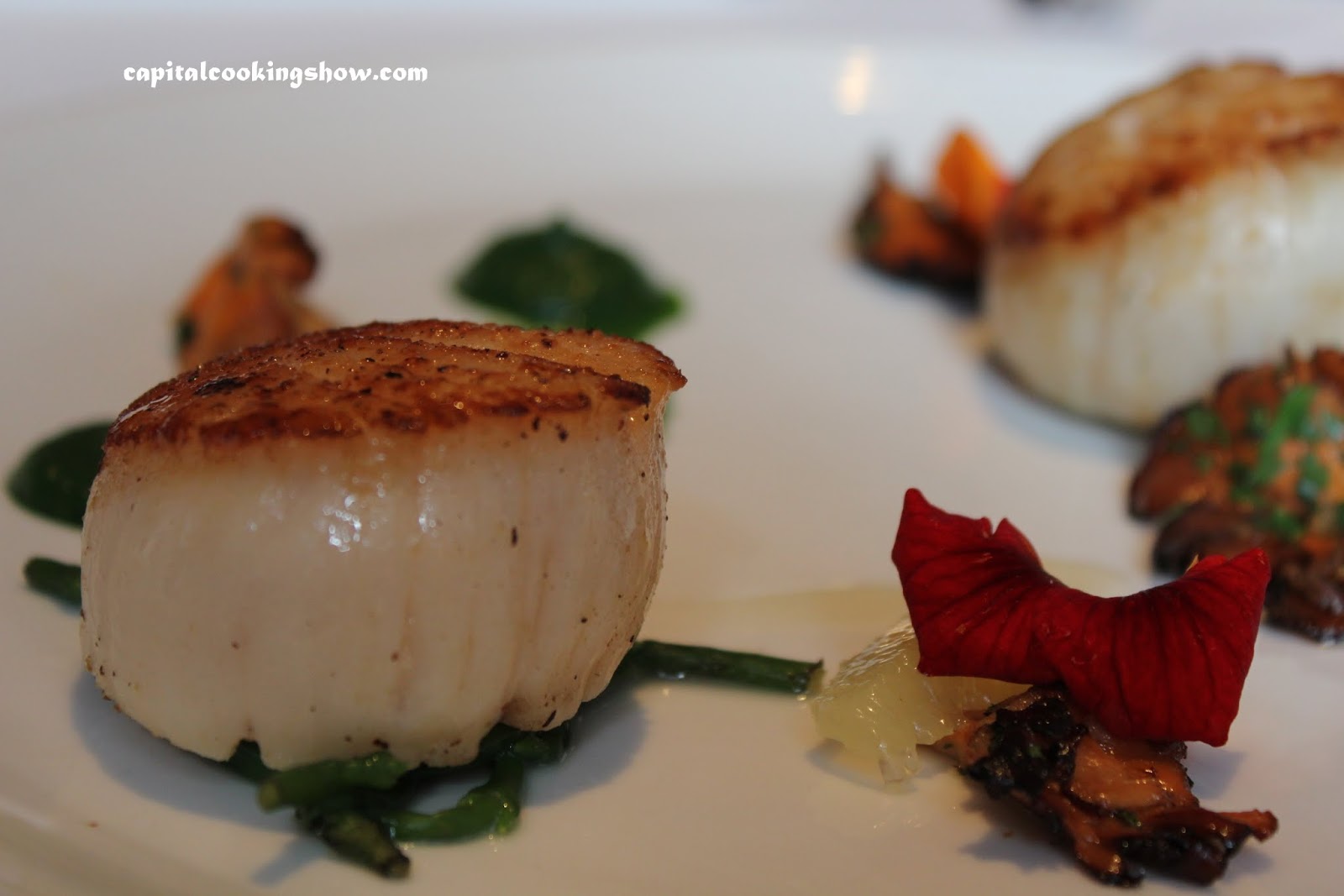 Capital Cooking with Lauren DeSantis Eat With Your Eyes Seared Hudson