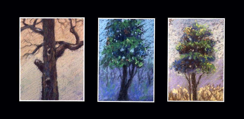 Thumbnail sketches of different trees by Manju Panchal ( soft pastel works )