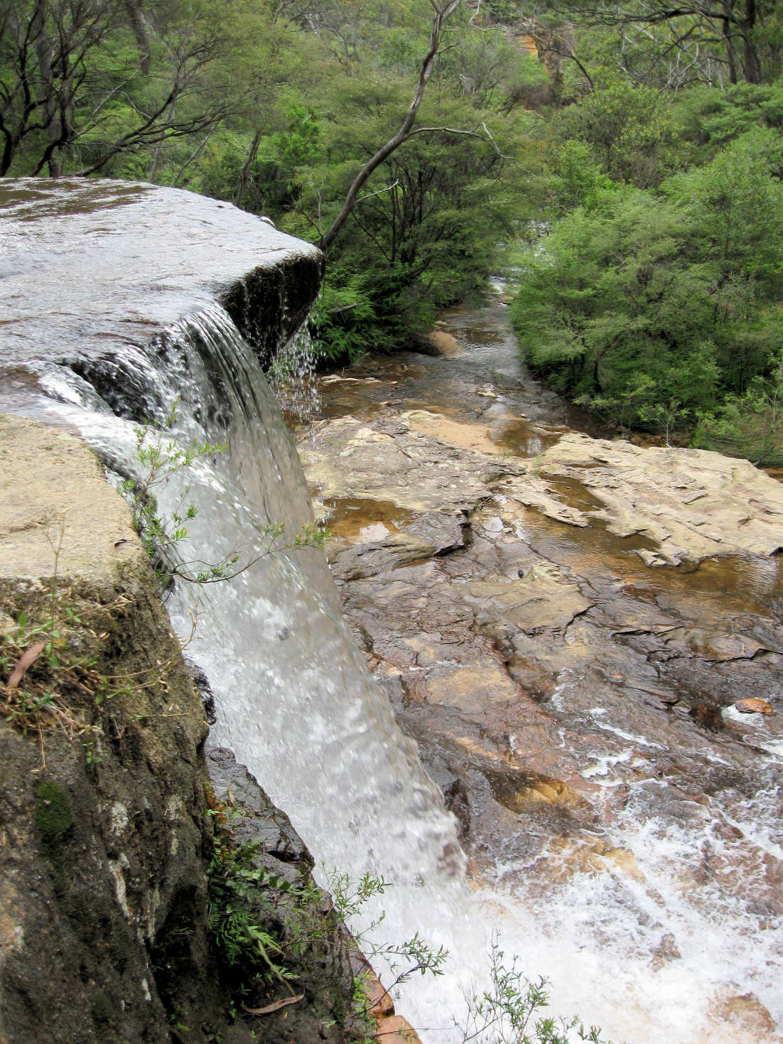 Wentworth Falls National Pass Our Walks