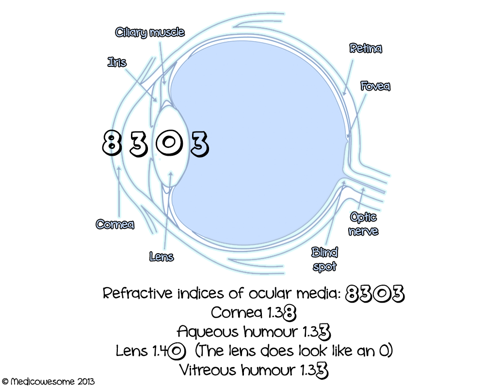 Medicowesome Refractive indices of the eye mnemonic