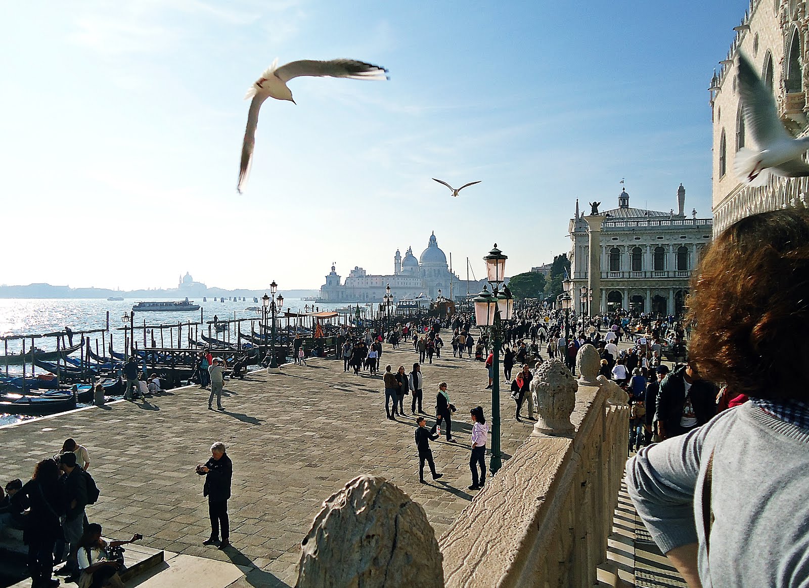 Venezia