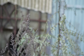 Alpha Picture Nurnberg 30 Oktober 2013 Das Schwarze Haus