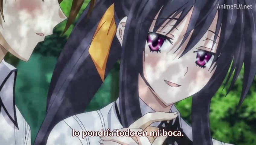 Capturas