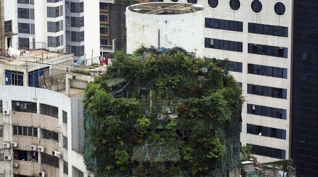 Casas que nunca pensamos que existissem elfandarilha