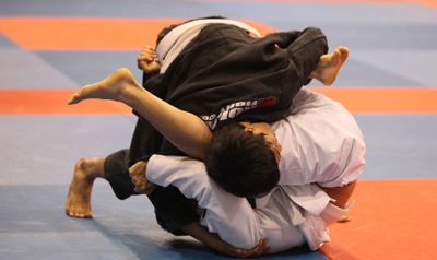 World Of Jiu Jitsu Pan Ams 2010 Ibjjf Tournament Results