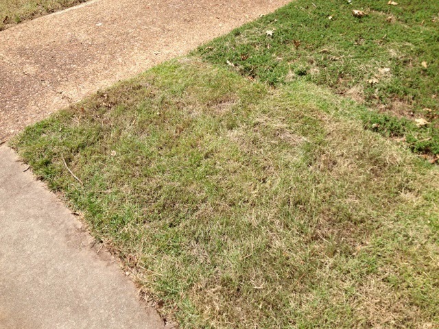 The Grass is Not Always Greener