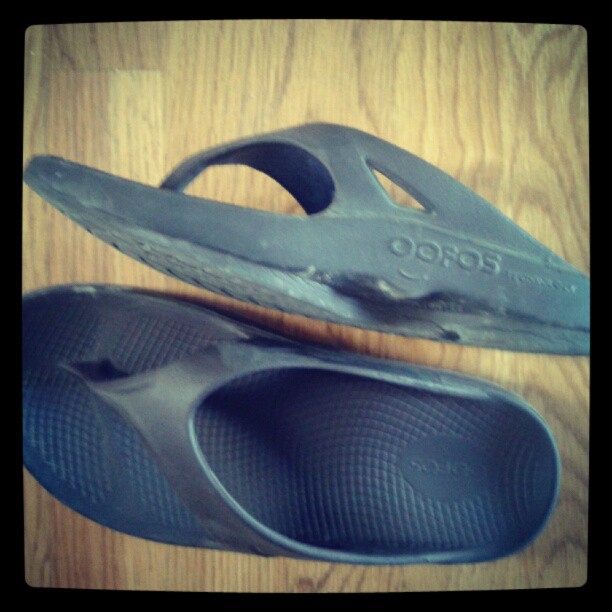 A YEAR OF JUBILEE REVIEWS Dog Days of Summer Oofos