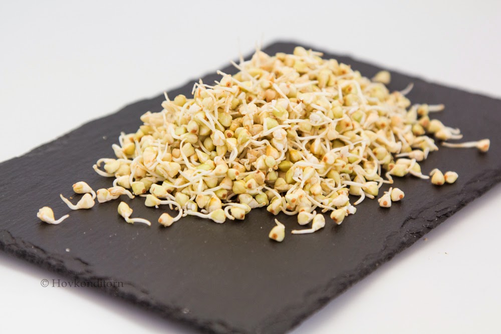 Hovkonditorn Sprouted Buckwheat