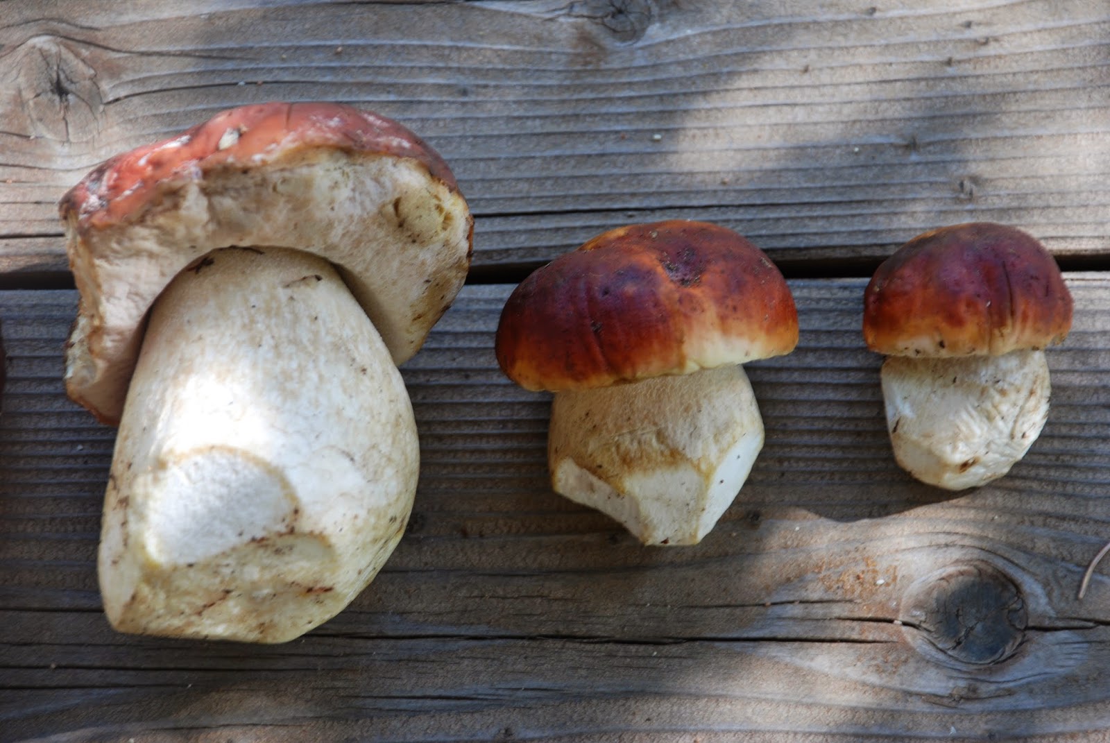 I Want My Umami Porcini Pickles