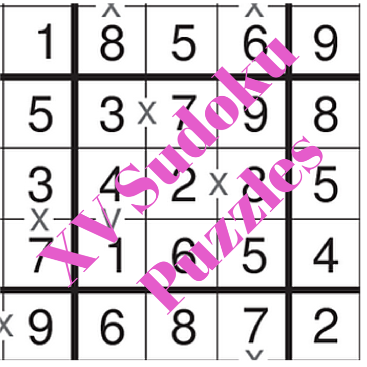 XV Sudoku Puzzles Fun With Puzzles