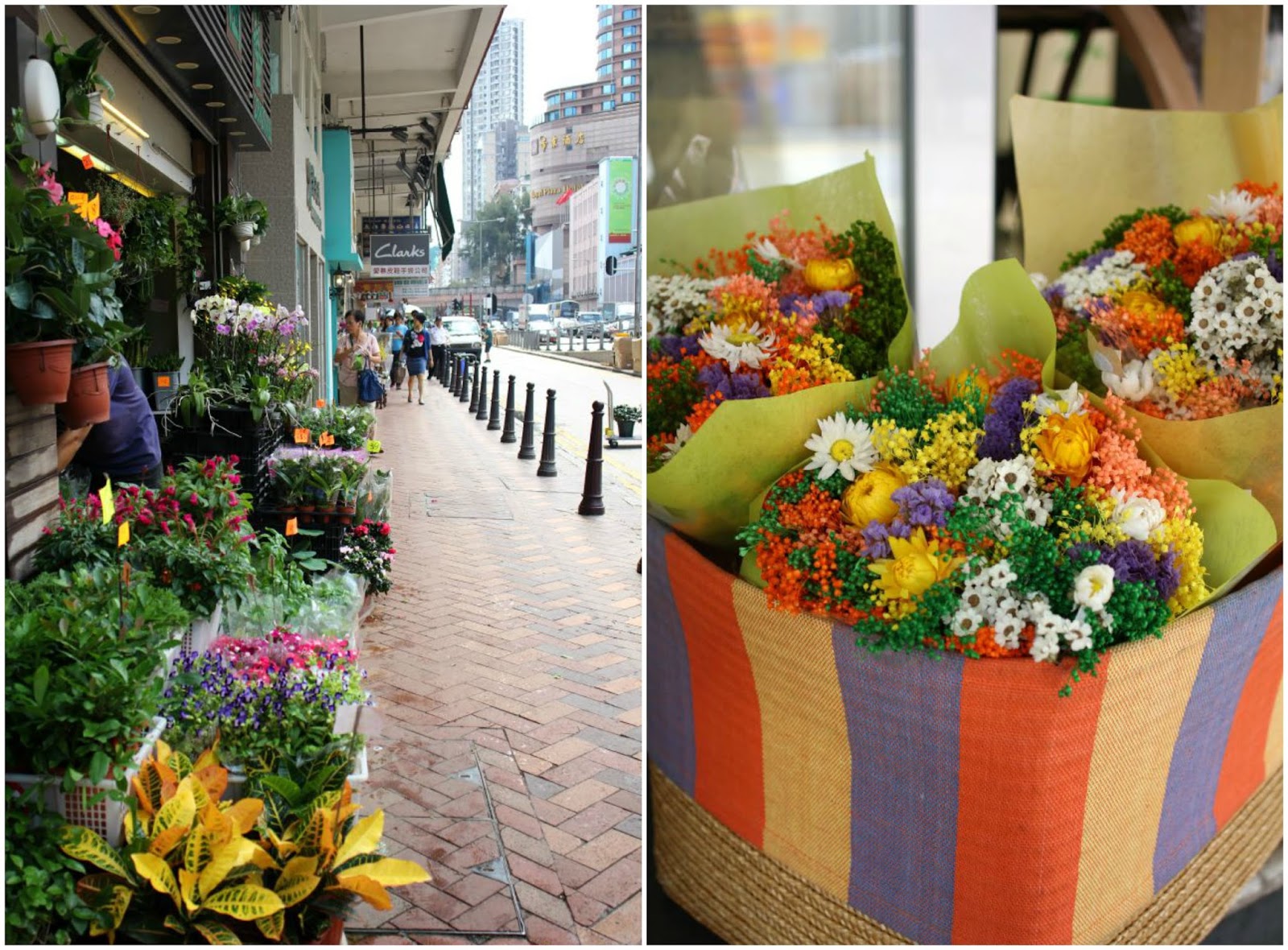 Flower Market Hong Kong Little Island Takara