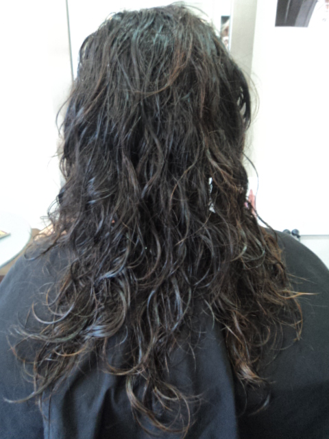 Imprezz Hair Makeup And Beauty Shiseido Crystallising Straight