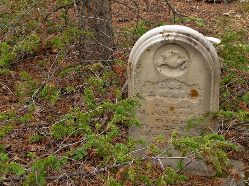 graveyard bald mountain cemetery . nevadaville co