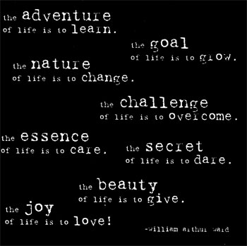 Tracing Echoes: Quotes I Love: Adventure!