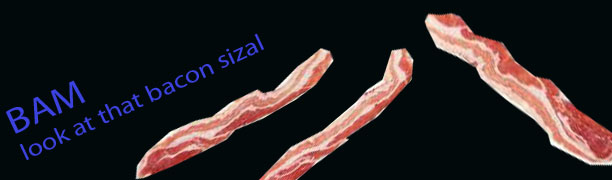 BAM look at that bacon sizle