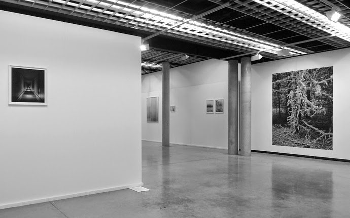 Black Bird Press News Review Open Letter From The Black Arts