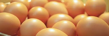 10 Fakta Tentang Telur
