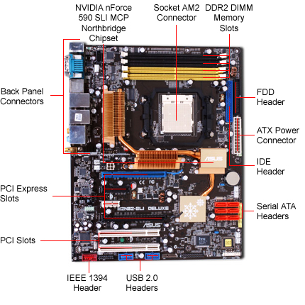 Slots are labeled on the ________ for ram