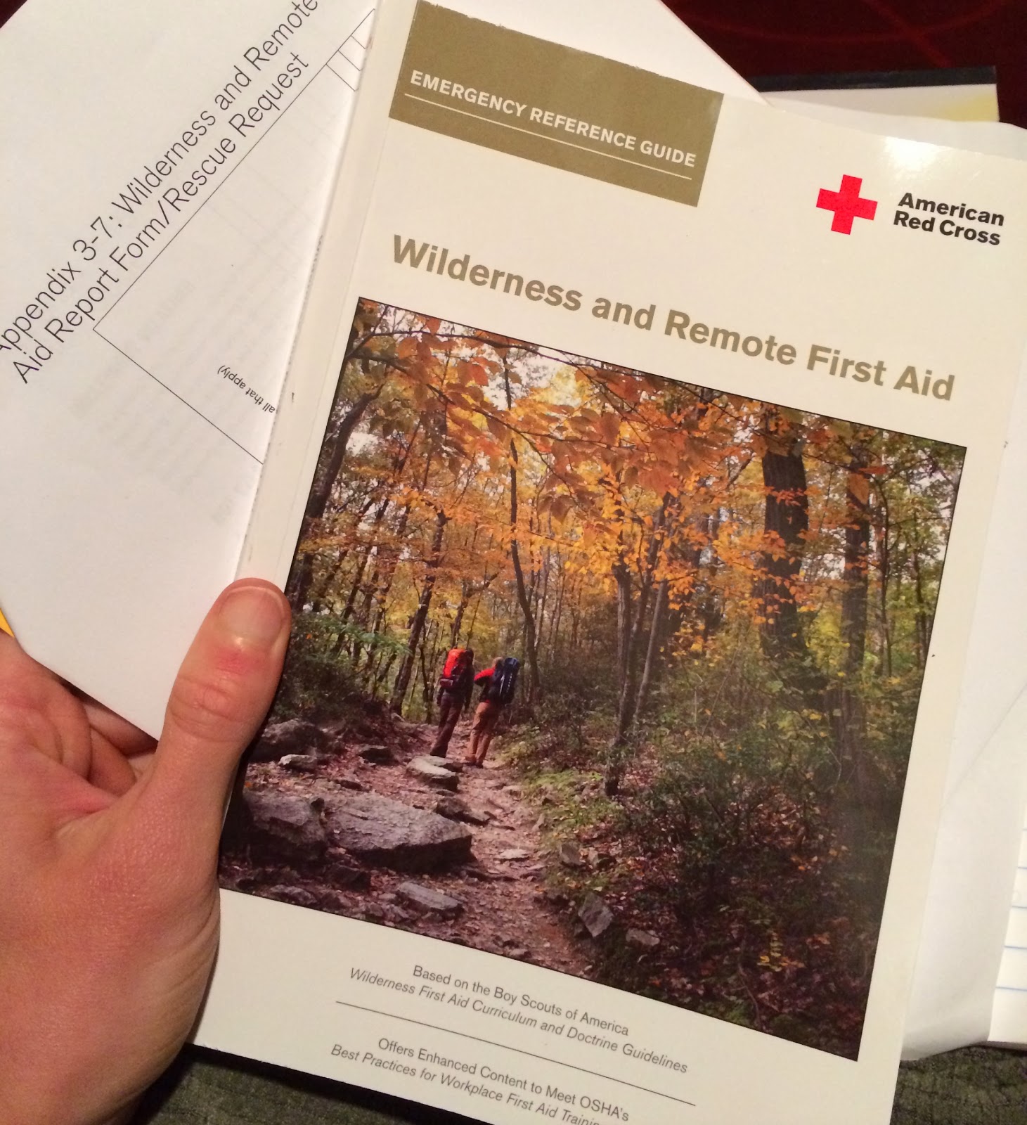 Rambling Hemlock Wilderness First Aid