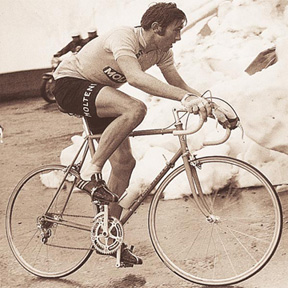 eddy merckx adidas