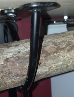 Use fishing wire to secure branch to bracket