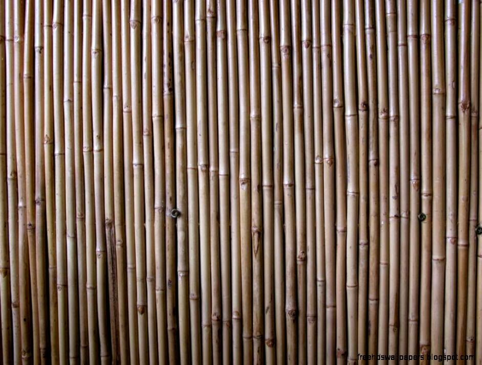 DCS Material Palette on Pinterest Concrete Blocks Bamboo and DCS Material Palette on Pinterest Concrete Blocks Bamboo and