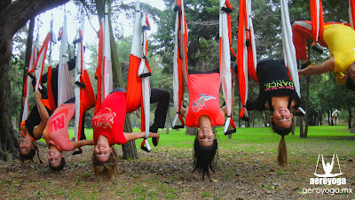 AeroYoga ® is a registered international aerial method , the firts that has been implemented in Spain , Europe and Latin America including 3 different patents: Aerial Yoga©, Aerial Pilates© and Aerial Fitness©.  Rafael Martinez introduced in Spain the Aerial Yoga and Pilates © in 2009 forming the first teachers in these disciplines. AeroYoga ® Institute is according Sprit Magazine " The first Aerial Yoga teacher training center in Europe " .  In these images the students of certifications in Mexico tested acrobatic positions for a workshop AeroYoga® Creative© November 2013 in nature.  Requires official seal AeroYoga ® on your yoga and pilates studio , coaching , dance school , clinic or fitness room and gym ...  AeroYoga ® International is the first method that works under the supervision of medical specialists in SPORTS MEDICINE ...  Only approved centers AeroYoga ® International can guarantee safety and outcomes with your workouts.