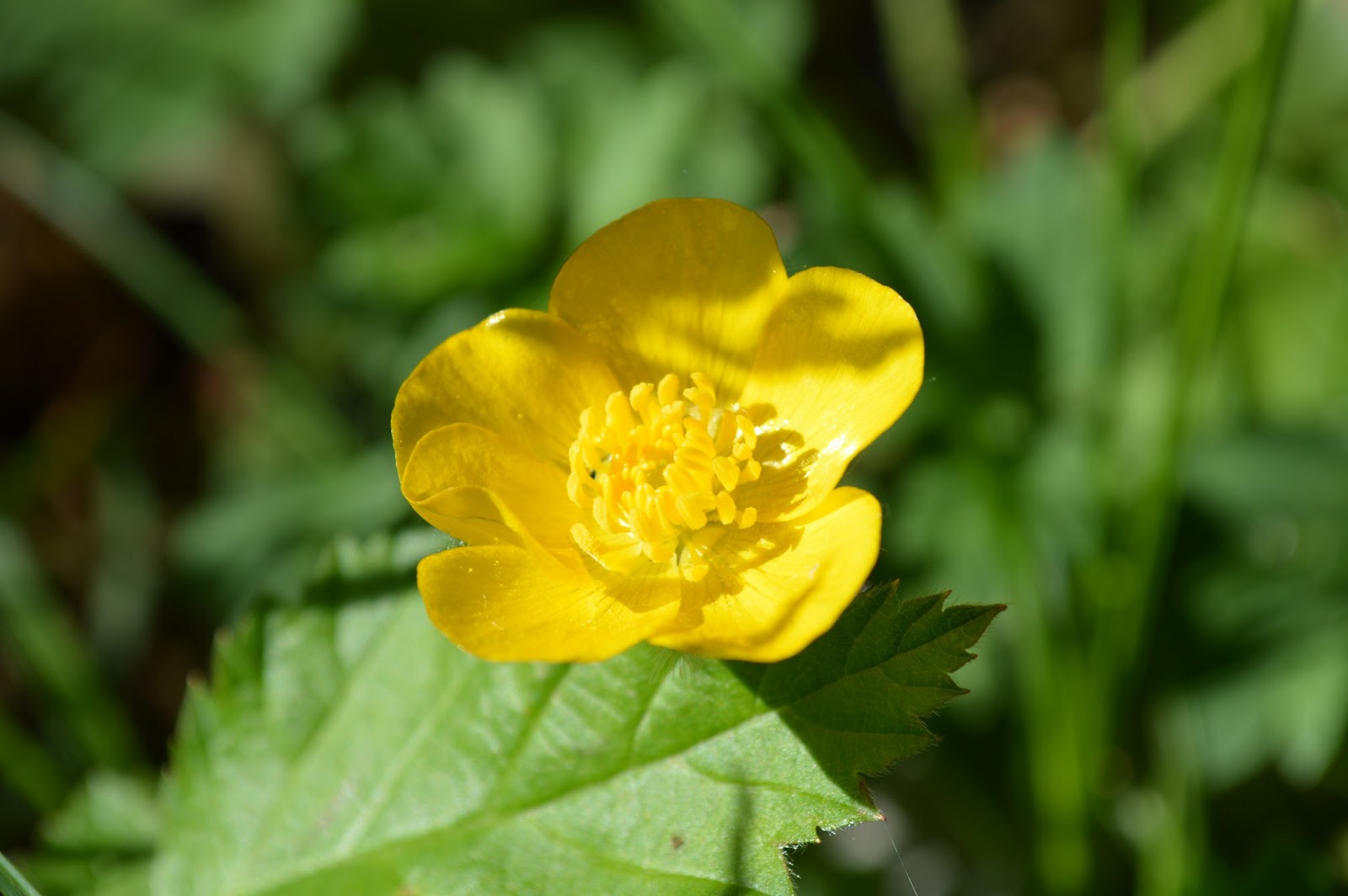 Photodiary Trying To Catch Up