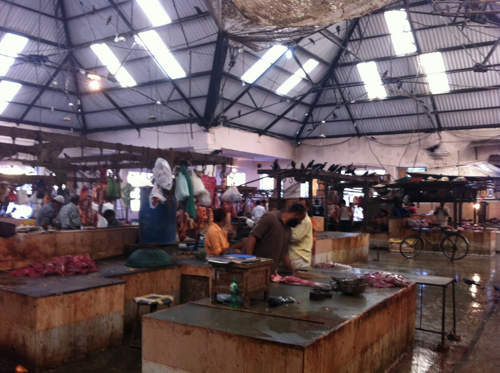 ANARCHYTECT crawford market morning walk