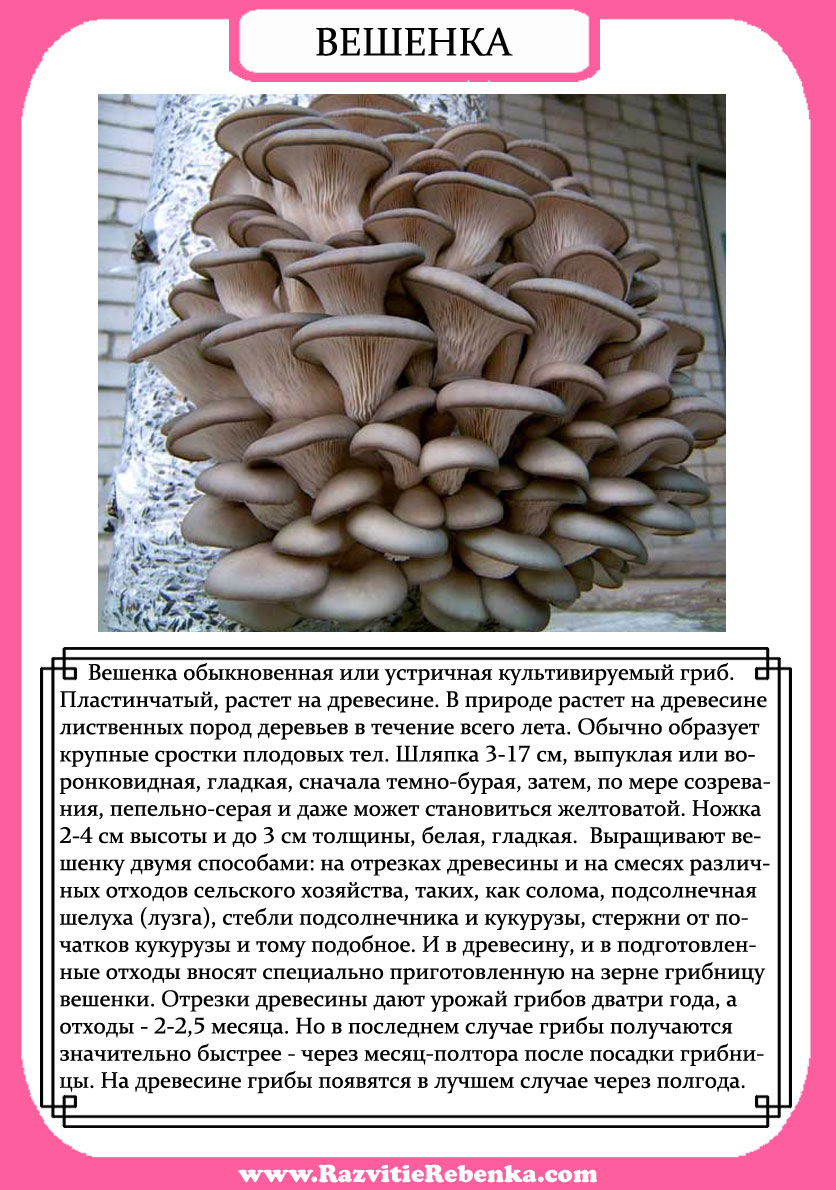 Раскраски осторожно дети Раскраски осторожно дети