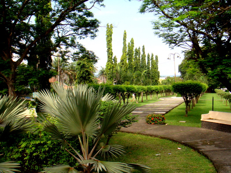 4 Options Style Garden