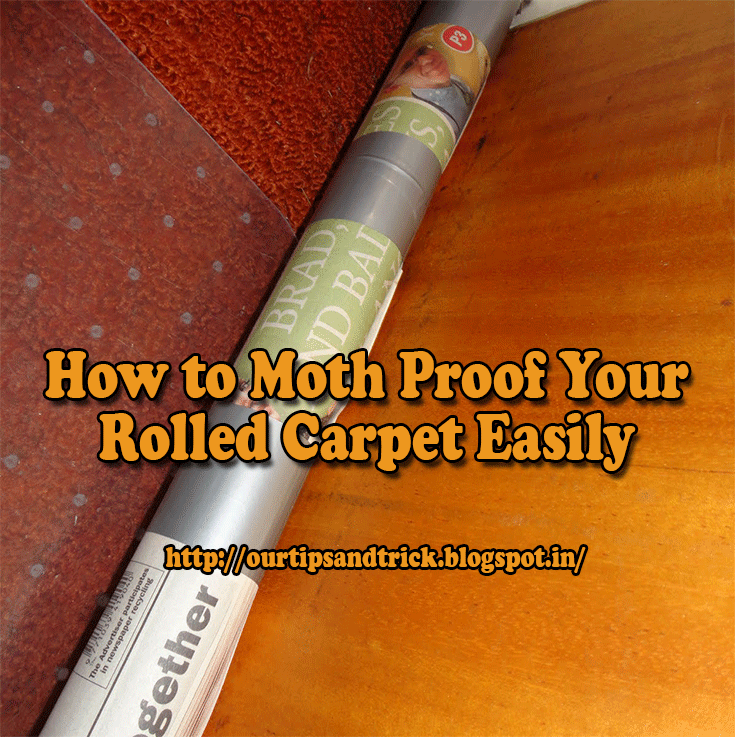 Best of Shabnamahsandesigns How to Moth Proof Your Rolled Carpet Easily