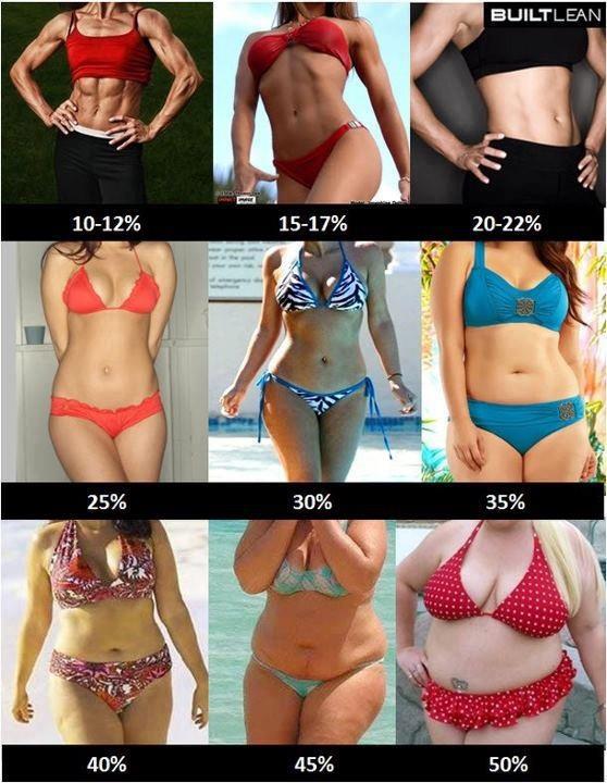 body+fat+example...jpg