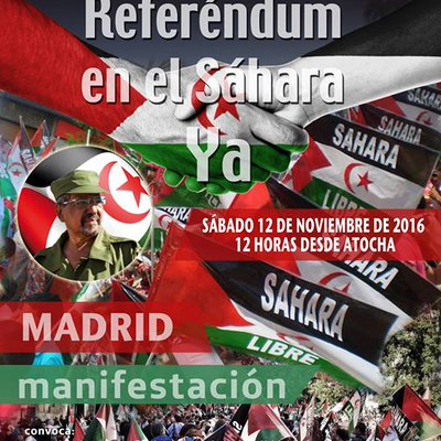 12 noviembre Referendum en el Sahara YA