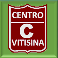 Centro Confraternidad Vitisina (CCV)