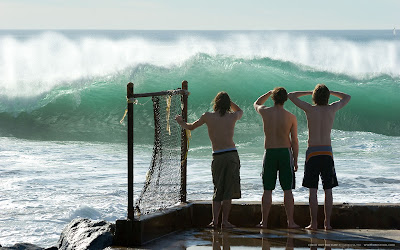 Fondos de escritorios gratis: Surfistas mirando las olas