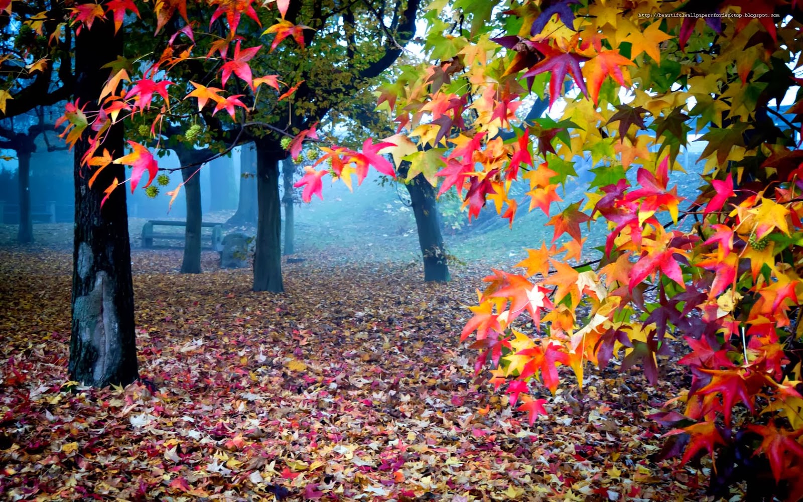 Free All wallpaper Beautifull: Beautiful hd wallpapers 1080p for desktop