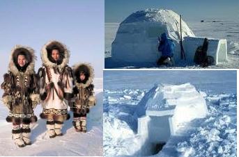 Wilayah mendiami bangsa eskimo Fenotipe: 5
