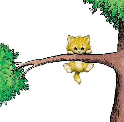 Animated Gifs Animals