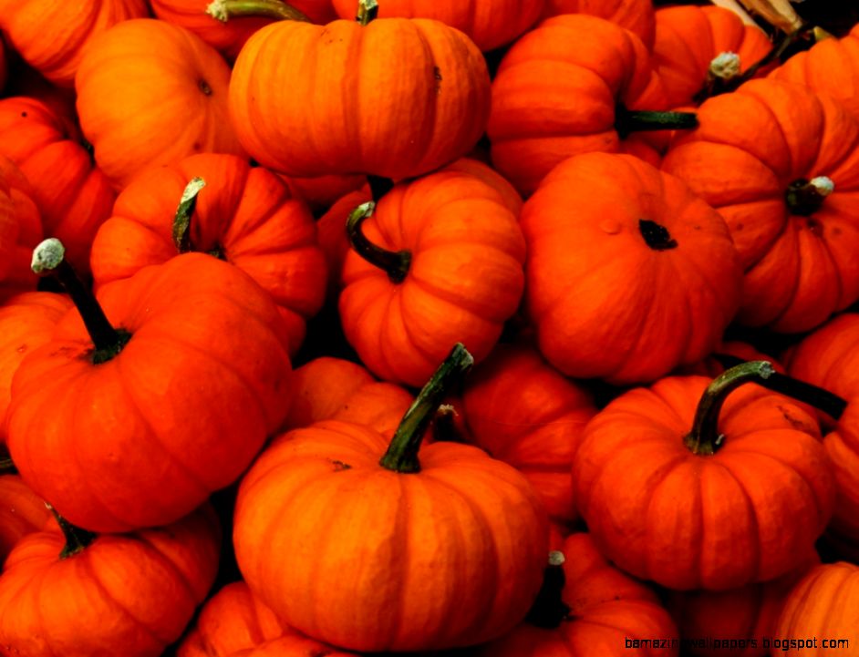 Browsing Wallpaper on DeviantArt Browsing Wallpaper on DeviantArt