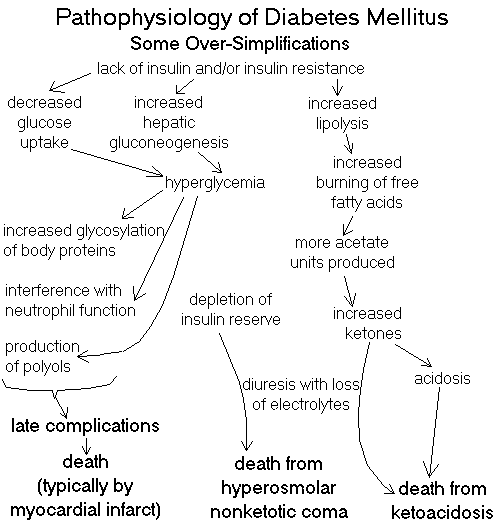 Download Farmakope Herbal Indonesia Edisi 3 Pdf