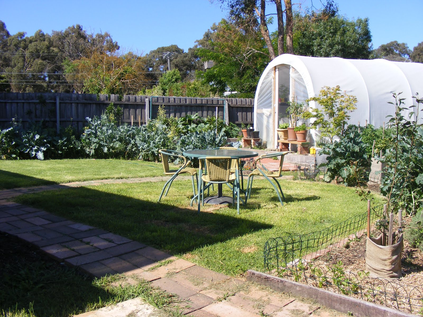 Backyard Self Sufficiency 15 Links To Other Gardening Blogs I Follow