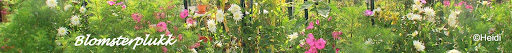 Blomsterplukk
