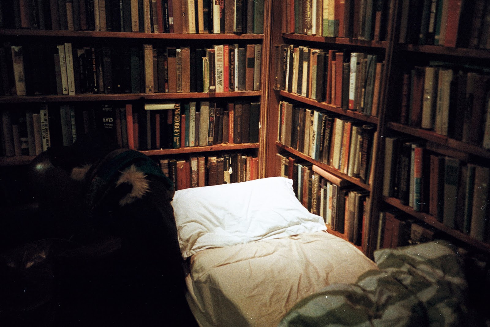 Tumbleweed Hotel, Shakespeare and Company