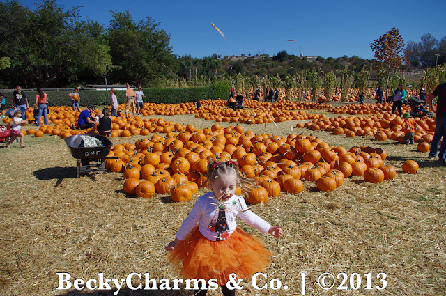This Time Last Year - Bates Nut Farm Pumpkin Patch 2012 by BeckyCharms & Co. This Time Last Year - Bates Nut Farm Pumpkin Patch 2012 by BeckyCharms & Co.