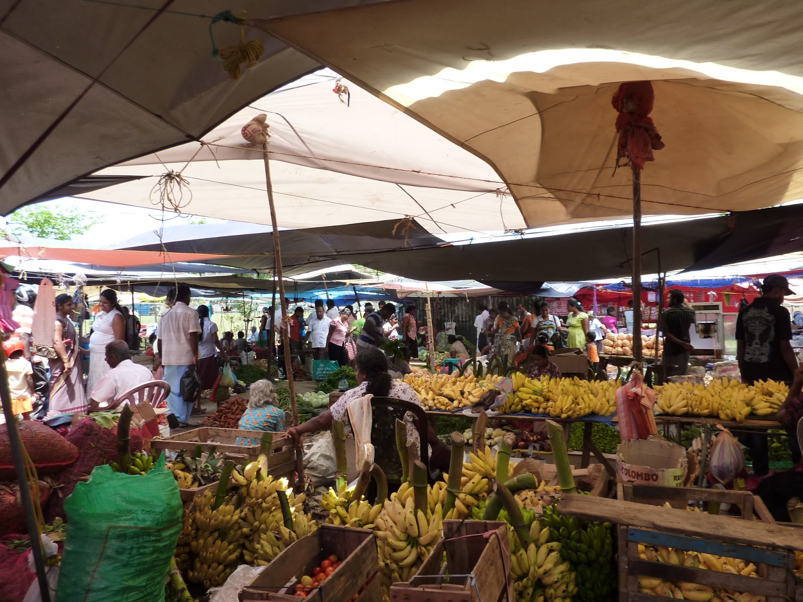 marché ouvert de Tangalle