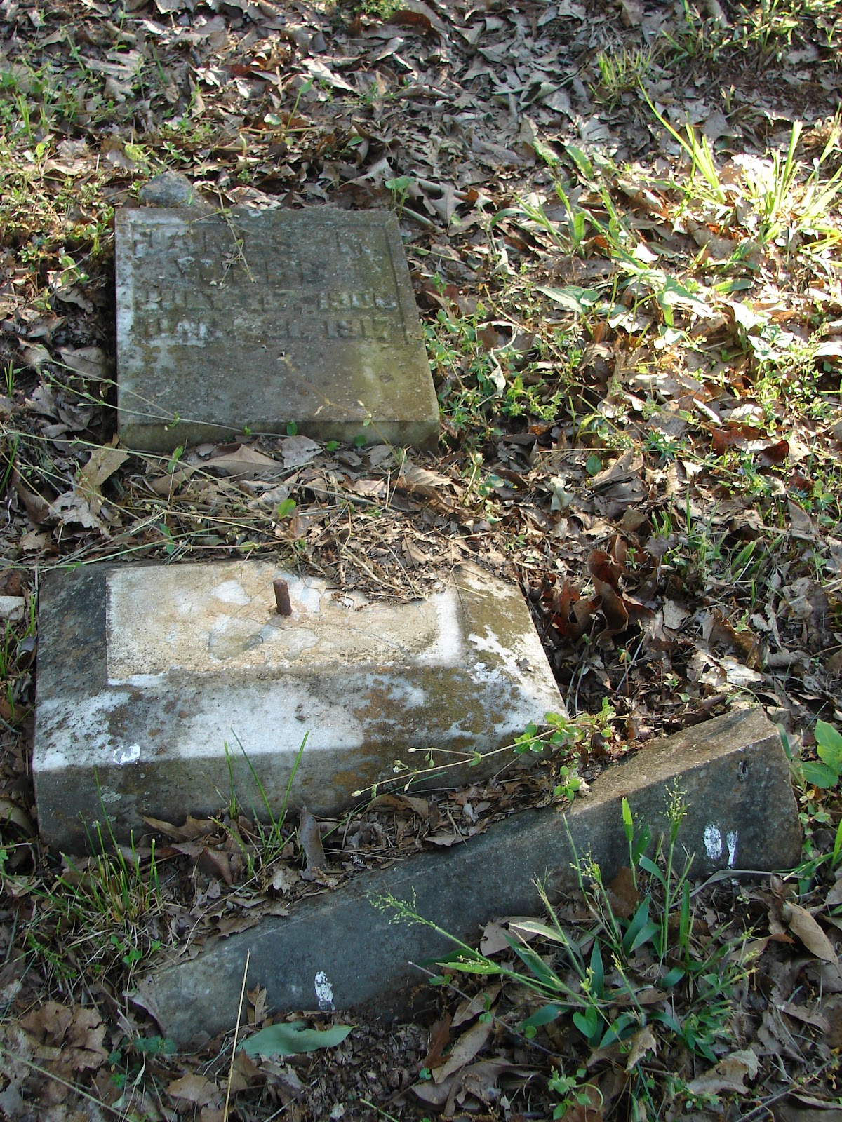 AfricanAmerican Cemeteries in Rutherford County, Tennessee b Cemetery