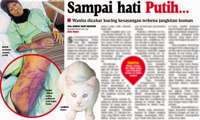 Antara Sebab-Sebab Kena Cakar Kucing perempuan kena cakar kucing, kes kena cakar kucing, sampai hati putih, wanita kena cakar kucing, sebab-sebab kucing mencakar, sebab-sebab kena cakar kucing, kena cakar kucing