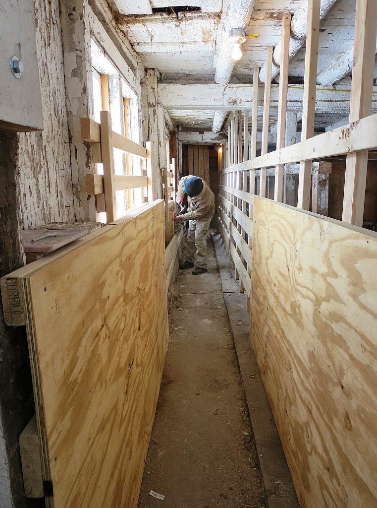 Windswept Adventure Building A Cattle Squeeze Chute